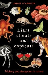 Image for article: Liars, Cheats and Copycats