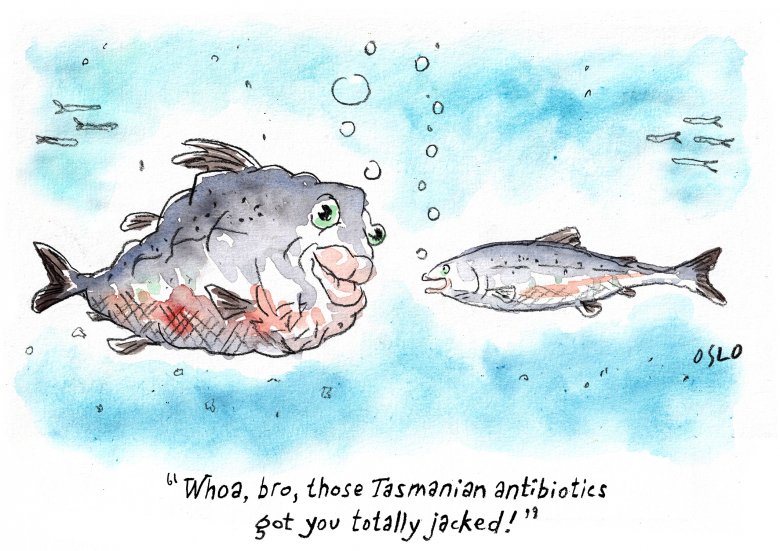Cartoon image, links to full cartoon page