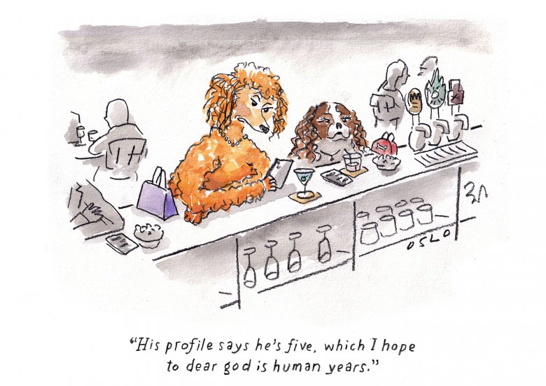 Cartoon image, links to full cartoon page