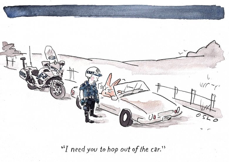 Cartoon image, links to full cartoon page